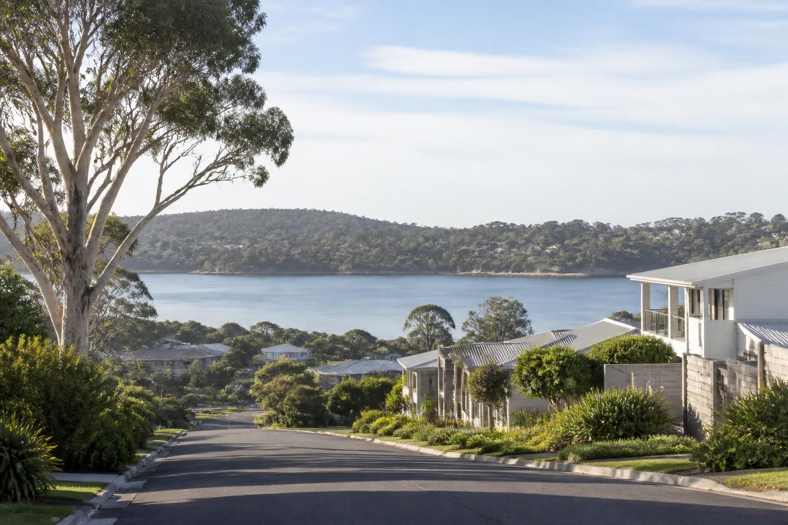 Welcoming Central Coast scene with greenery and relaxed streets.
